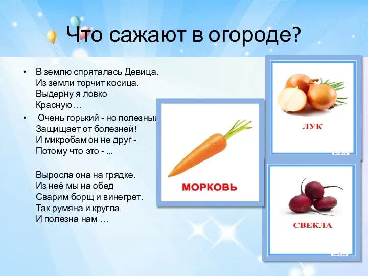 Что сажают в огороде? В землю спряталась Девица. Из земли торчит