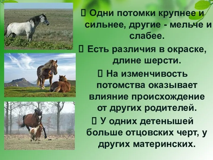 Одни потомки крупнее и сильнее, другие - мельче и слабее. Есть