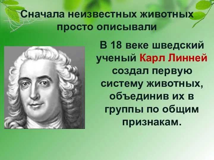 Сначала неизвестных животных просто описывали В 18 веке шведский ученый Карл