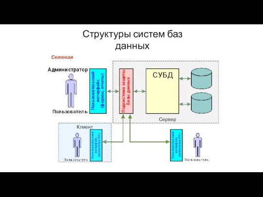 Структуры систем баз данных Сервер Сетевая Клиент