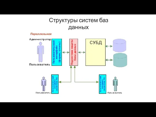 Структуры систем баз данных Параллельная