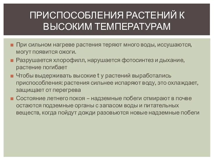 При сильном нагреве растения теряют много воды, иссушаются, могут появится ожоги.