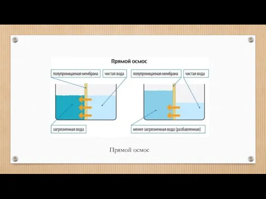 Прямой осмос