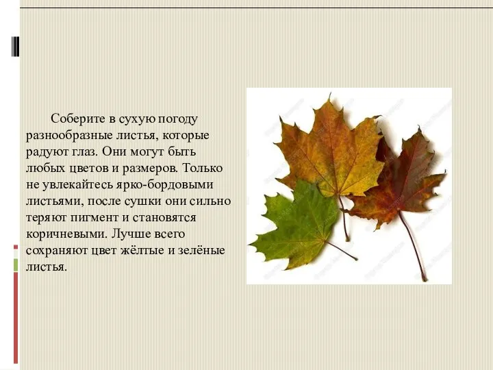 Соберите в сухую погоду разнообразные листья, которые радуют глаз. Они могут