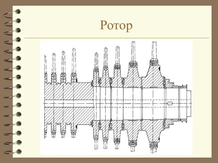 Ротор