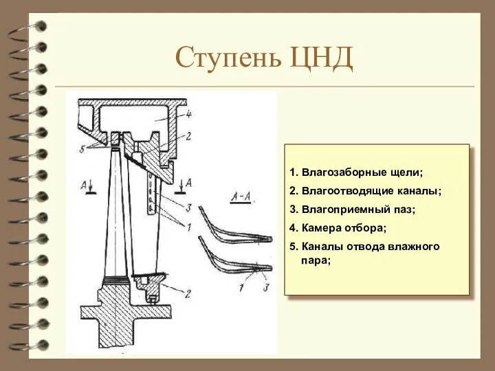 Ступень ЦНД 1. Влагозаборные щели; 2. Влагоотводящие каналы; 3. Влагоприемный паз;