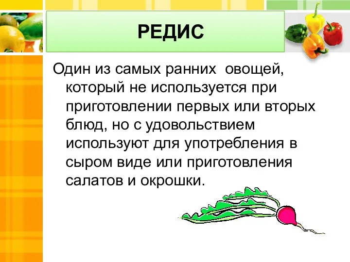 РЕДИС Один из самых ранних овощей, который не используется при приготовлении