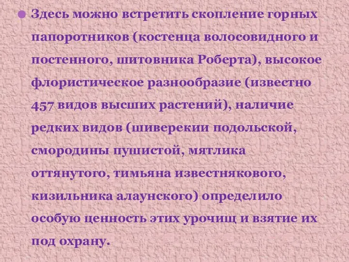 Здесь можно встретить скопление горных папоротников (костенца волосовидного и постенного, шитовника