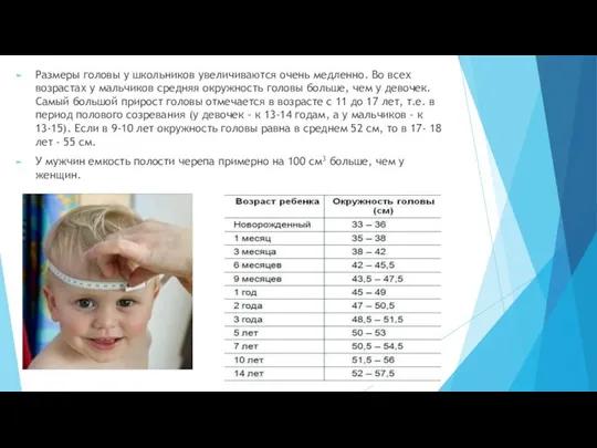 Размеры головы у школьников увеличиваются очень медленно. Во всех возрастах у