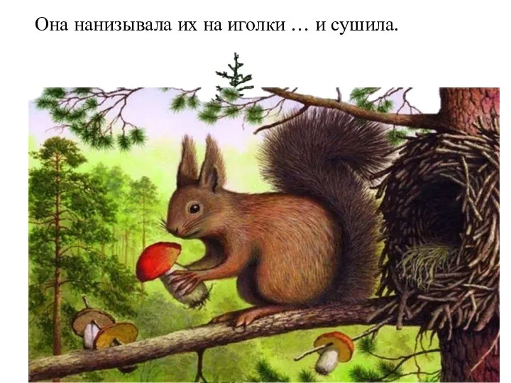 Она нанизывала их на иголки … и сушила.