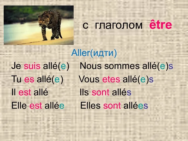 с глаголом être Aller(идти) Je suis allé(e) Nous sommes allé(e)s Tu