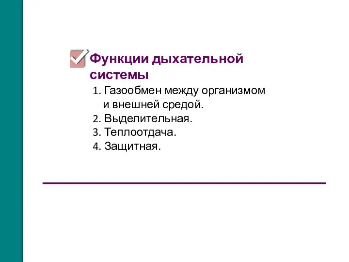 1. Газообмен между организмом и внешней средой. 2. Выделительная. 3. Теплоотдача. 4. Защитная. Функции дыхательной системы