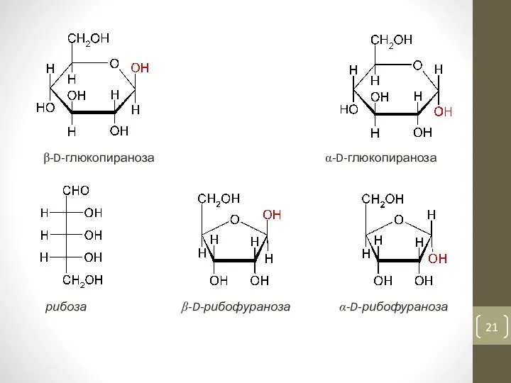 β-D-глюкопираноза α-D-глюкопираноза рибоза β-D-рибофураноза α-D-рибофураноза