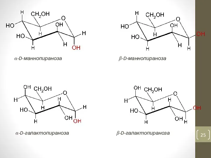 α-D-маннопираноза β-D-маннопираноза α-D-галактопираноза β-D-галактопираноза