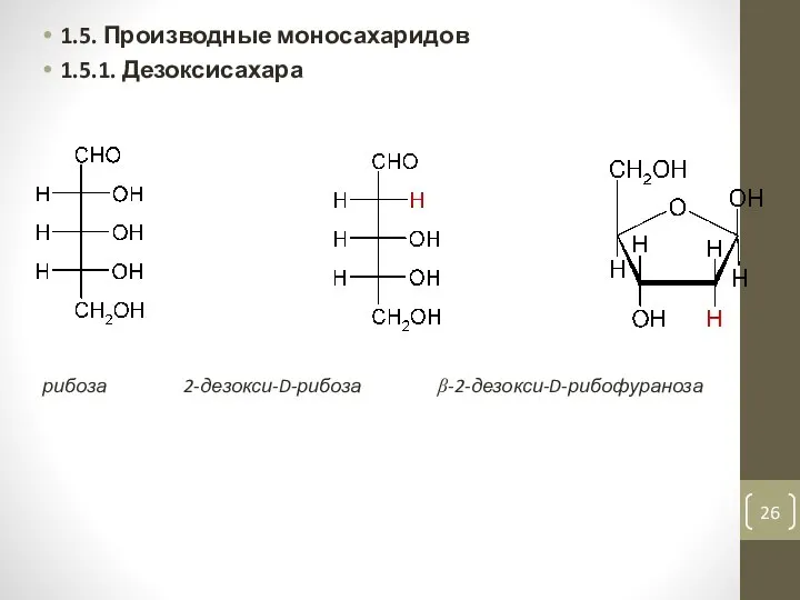 1.5. Производные моносахаридов 1.5.1. Дезоксисахара рибоза 2-дезокси-D-рибоза β-2-дезокси-D-рибофураноза