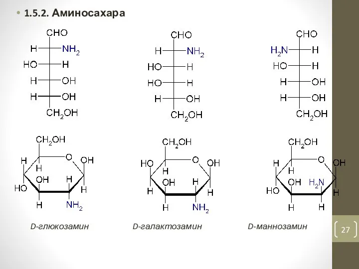 1.5.2. Аминосахара D-глюкозамин D-галактозамин D-маннозамин