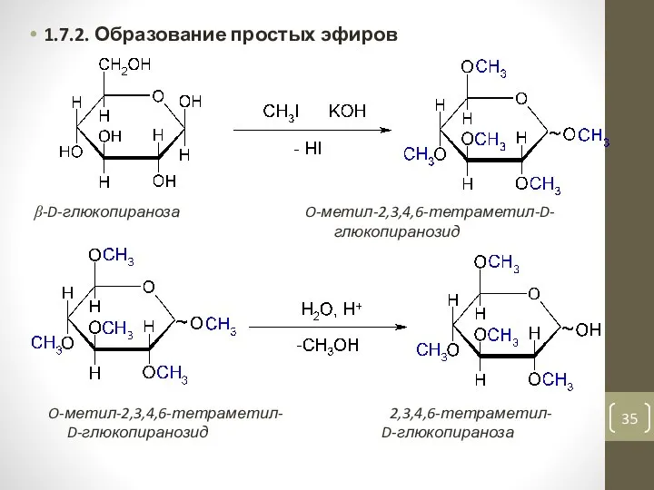 1.7.2. Образование простых эфиров β-D-глюкопираноза O-метил-2,3,4,6-тетраметил-D- глюкопиранозид O-метил-2,3,4,6-тетраметил- 2,3,4,6-тетраметил- D-глюкопиранозид D-глюкопираноза