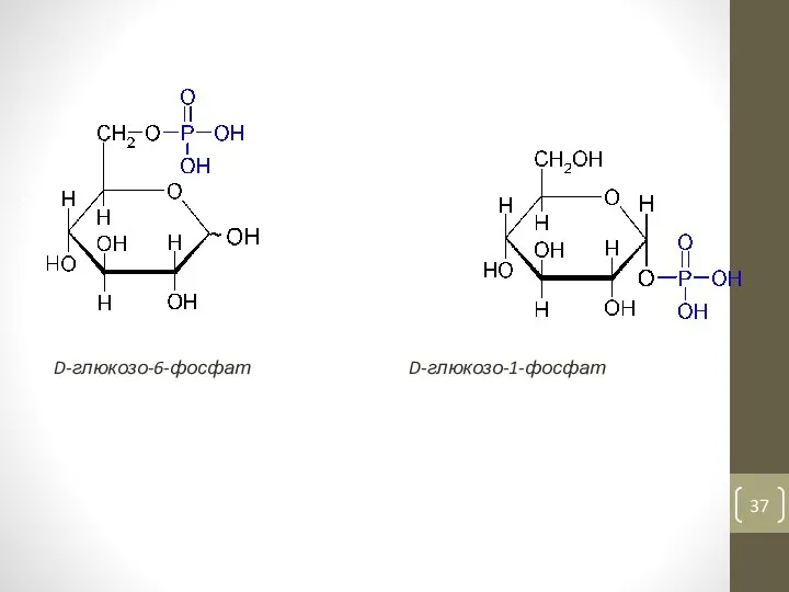 D-глюкозо-6-фосфат D-глюкозо-1-фосфат