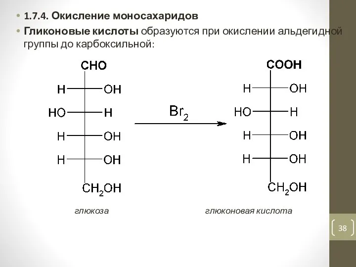 1.7.4. Окисление моносахаридов Гликоновые кислоты образуются при окислении альдегидной группы до карбоксильной: глюкоза глюконовая кислота