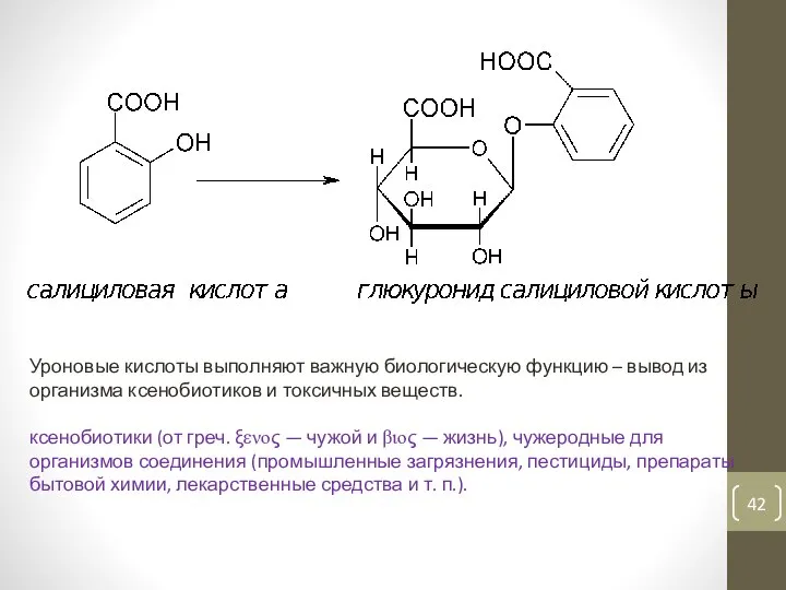 Уроновые кислоты выполняют важную биологическую функцию – вывод из организма ксенобиотиков