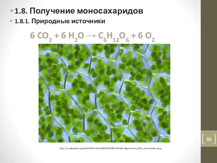 1.8. Получение моносахаридов 1.8.1. Природные источники 6 CO2 + 6 H2O