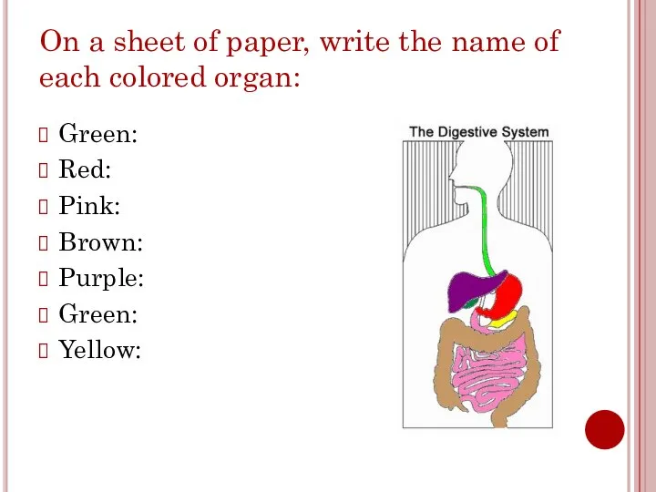 On a sheet of paper, write the name of each colored