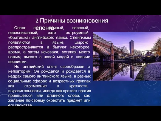 2 Причины возникновения сленга Сленг это шумный, веселый, невоспитанный, зато остроумный