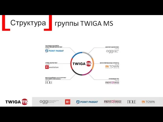 Структура группы TWIGA MS