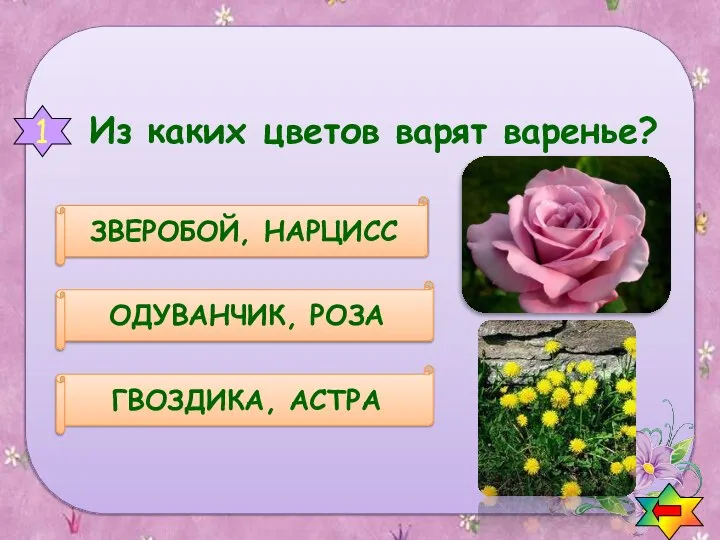 Вопросы о цветах ГВОЗДИКА, АСТРА ОДУВАНЧИК, РОЗА ЗВЕРОБОЙ, НАРЦИСС Из каких цветов варят варенье? 1