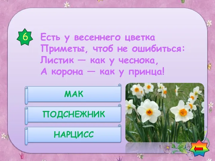 Есть у весеннего цветка Приметы, чтоб не ошибиться: Листик — как