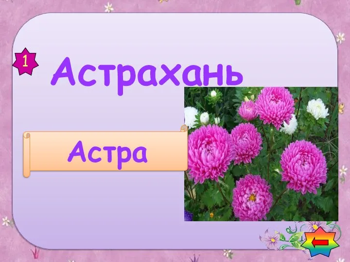 Астрахань Найди названия растений в названии городов Астра 1