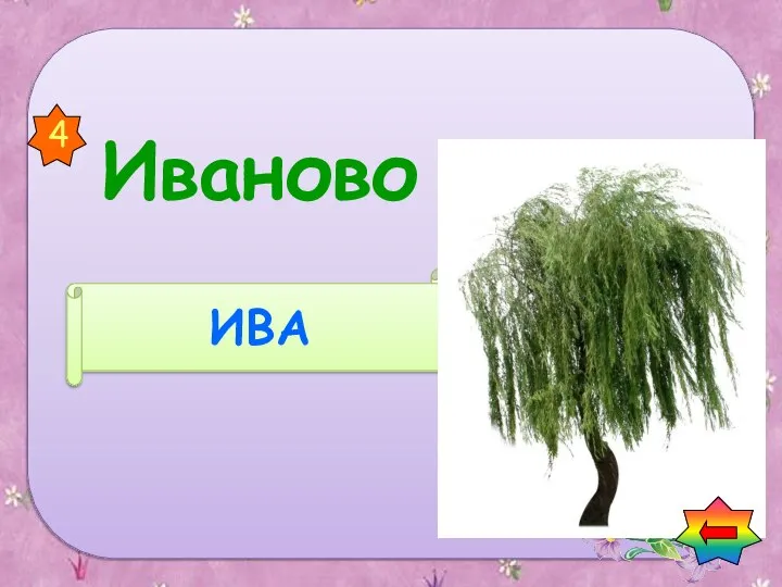 Иваново ИВА 4 Найди названия растений в названии городов