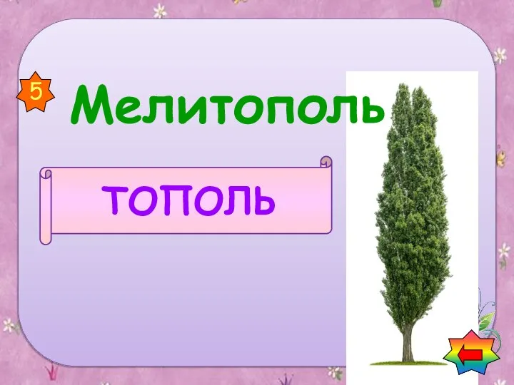 Мелитополь ТОПОЛЬ 5 Найди названия растений в названии городов