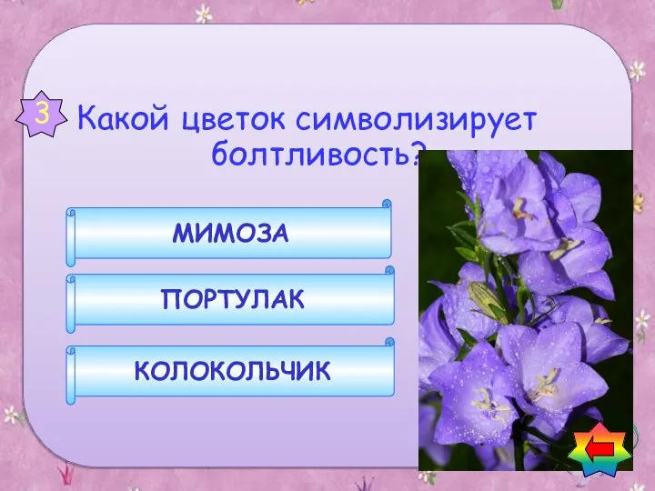 Какой цветок символизирует болтливость? КОЛОКОЛЬЧИК ПОРТУЛАК МИМОЗА 3 Вопросы о цветах