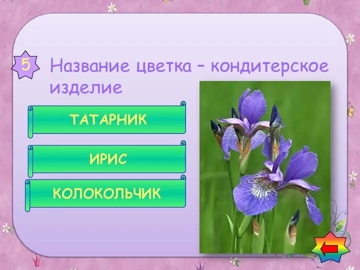 Название цветка – кондитерское изделие КОЛОКОЛЬЧИК ИРИС ТАТАРНИК 5 Вопросы о цветах