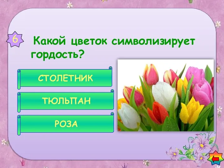 Какой цветок символизирует гордость? РОЗА ТЮЛЬПАН СТОЛЕТНИК 6 Вопросы о цветах