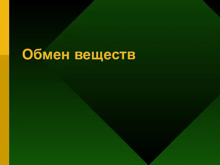 Обмен веществ