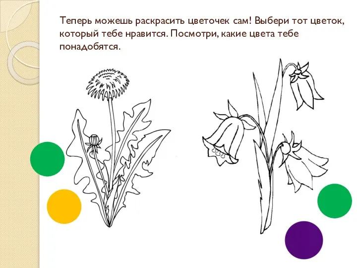 Теперь можешь раскрасить цветочек сам! Выбери тот цветок, который тебе нравится. Посмотри, какие цвета тебе понадобятся.