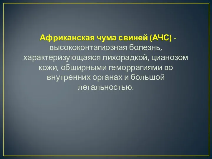 Африканская чума свиней (АЧС) - высококонтагиозная болезнь, характеризующаяся лихорадкой, цианозом кожи,