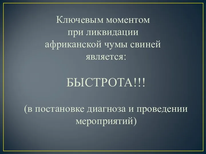 Ключевым моментом при ликвидации африканской чумы свиней является: БЫСТРОТА!!! (в постановке диагноза и проведении мероприятий)