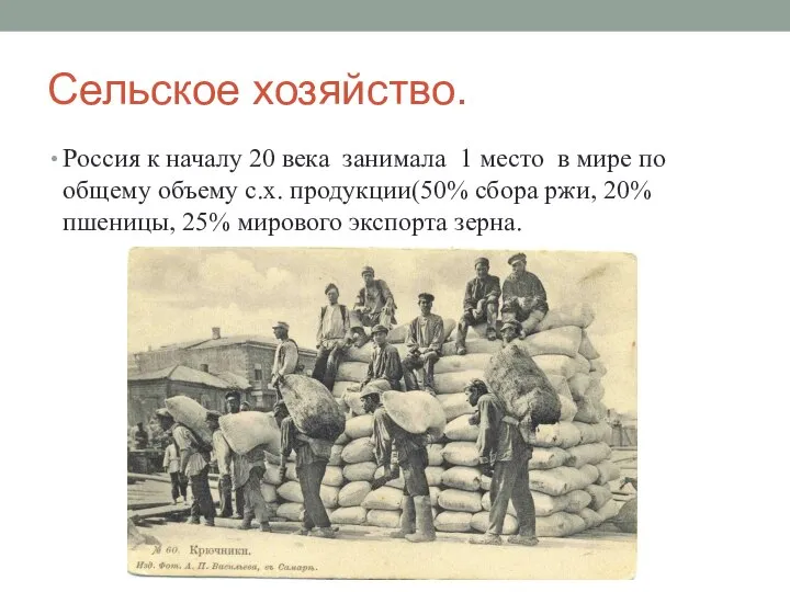 Сельское хозяйство. Россия к началу 20 века занимала 1 место в