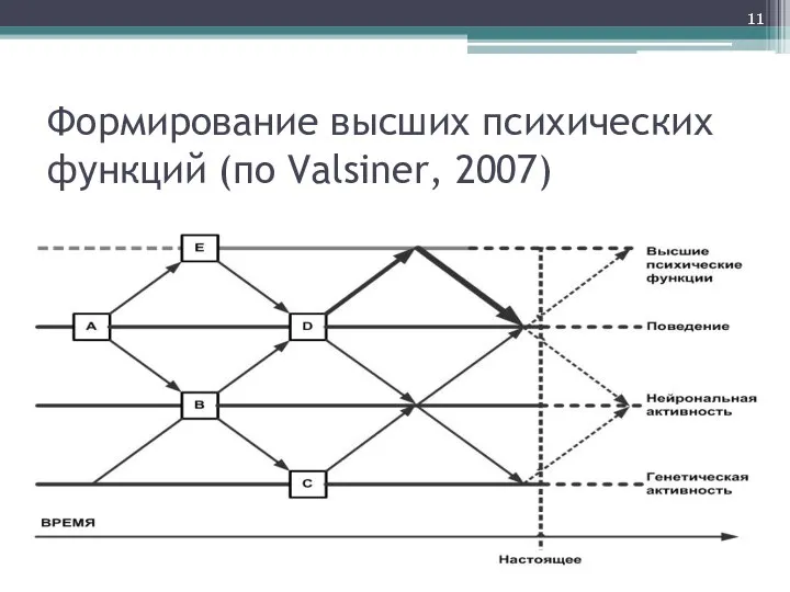 Формирование высших психических функций (по Valsiner, 2007)