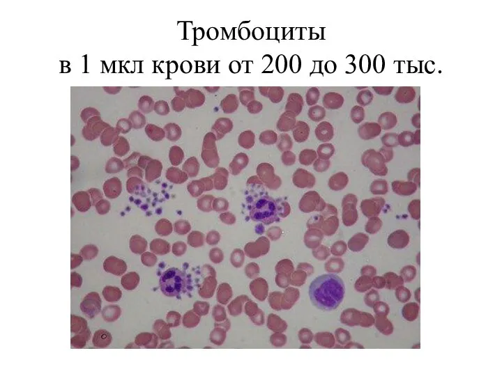 Тромбоциты в 1 мкл крови от 200 до 300 тыс.