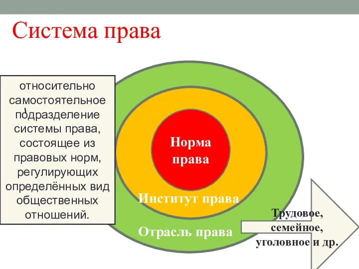 Система права Норма права Отрасль права Институт права Трудовое, семейное, уголовное