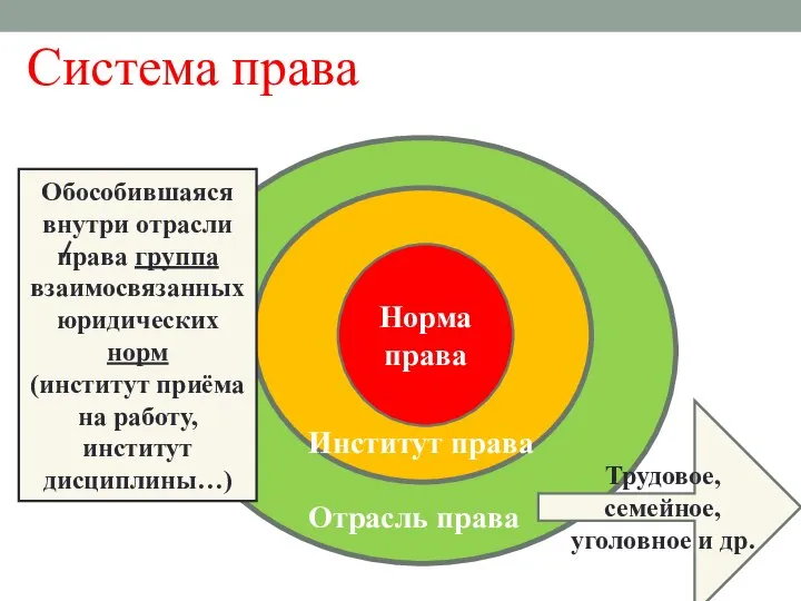 Система права Норма права Отрасль права Институт права Трудовое, семейное, уголовное