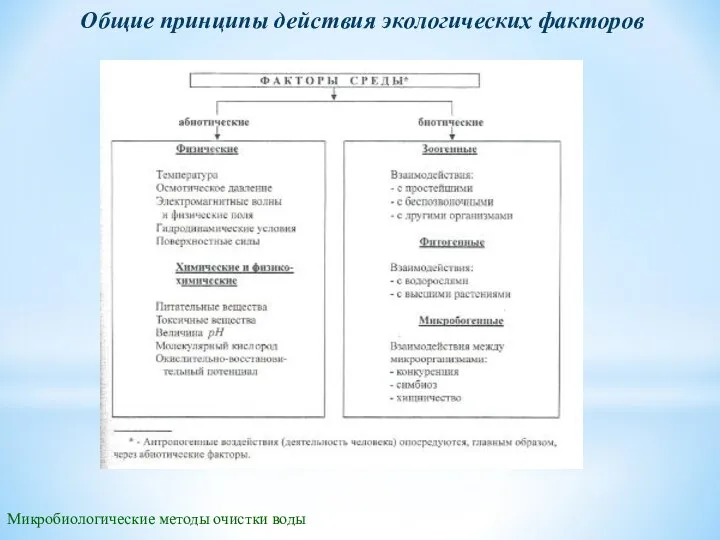 Микробиологические методы очистки воды Общие принципы действия экологических факторов