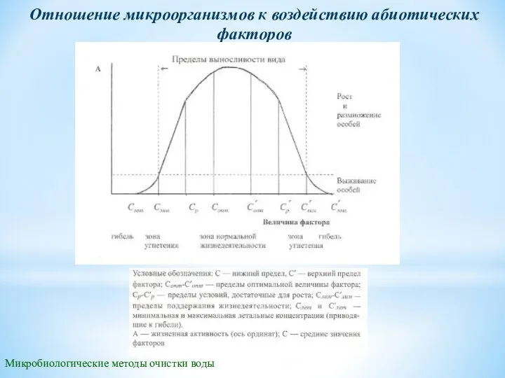 Микробиологические методы очистки воды Отношение микроорганизмов к воздействию абиотических факторов