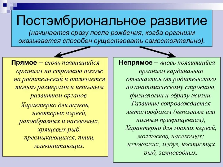 Постэмбриональное развитие (начинается сразу после рождения, когда организм оказывается способен существовать