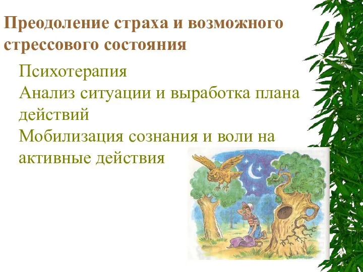 Преодоление страха и возможного стрессового состояния Психотерапия Анализ ситуации и выработка