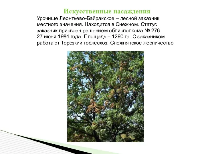 Искусственные насаждения Урочище Леонтьево-Байракское – лесной заказник местного значения. Находится в